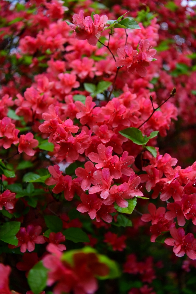 d0288500_19261479.jpg
