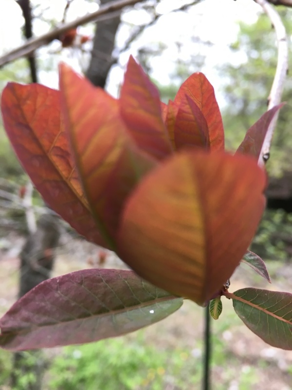 b0220002_20034601.jpeg