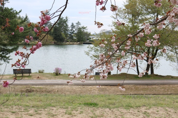 a0123003_23274009.jpg