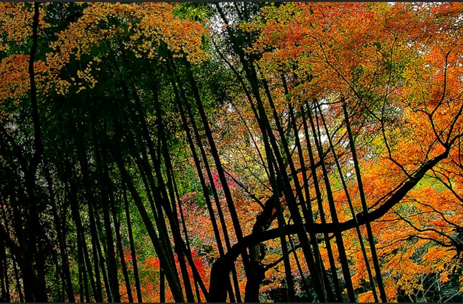 e0331304_11581757.jpg