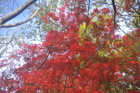 e0331304_12072031.jpg
