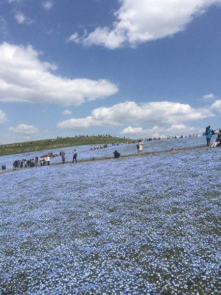 c0109109_11081702.jpeg