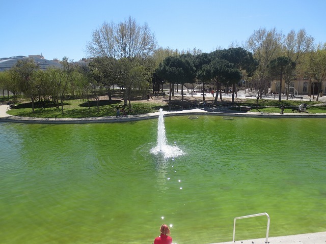 b0064411_06344498.jpg