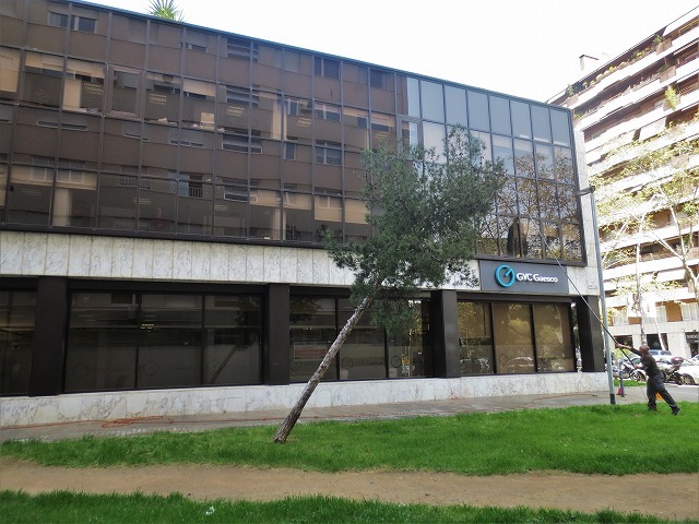 b0064411_06365335.jpg