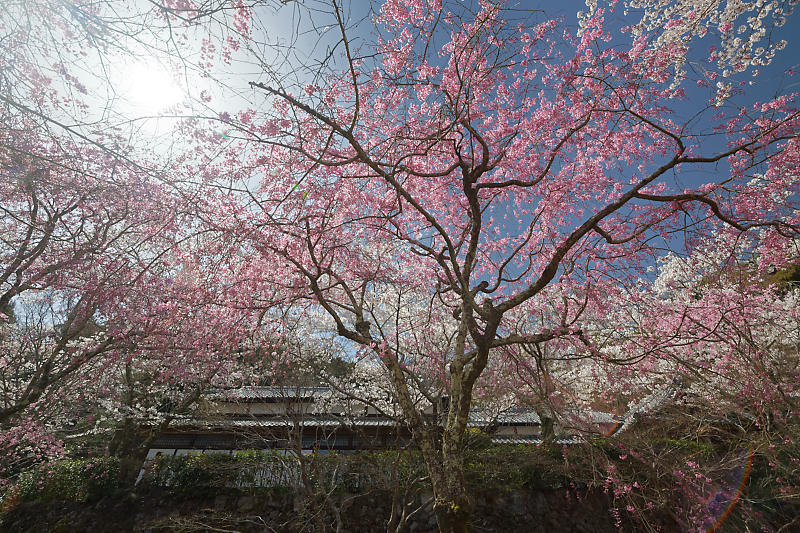 f0032011_19511433.jpg