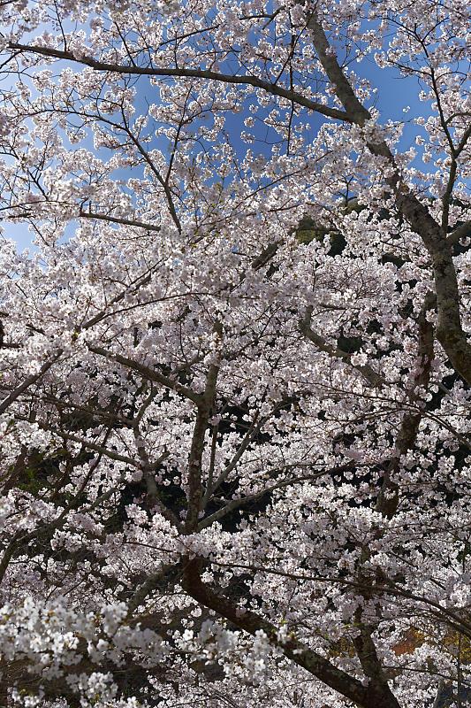 f0032011_19511468.jpg