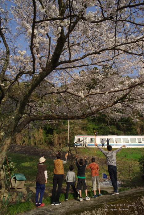 大きな桜の樹の下で_d0309612_07342039.jpg