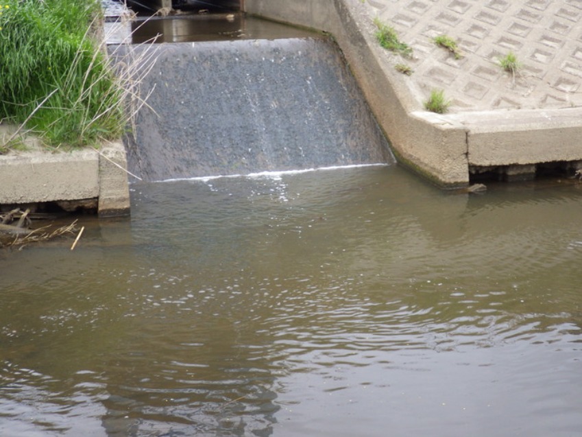 c0022113_15464722.jpg