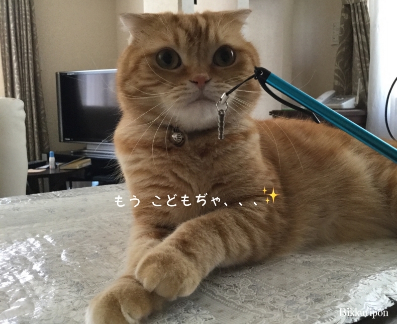 釣れました♪_d0344913_11053383.jpg