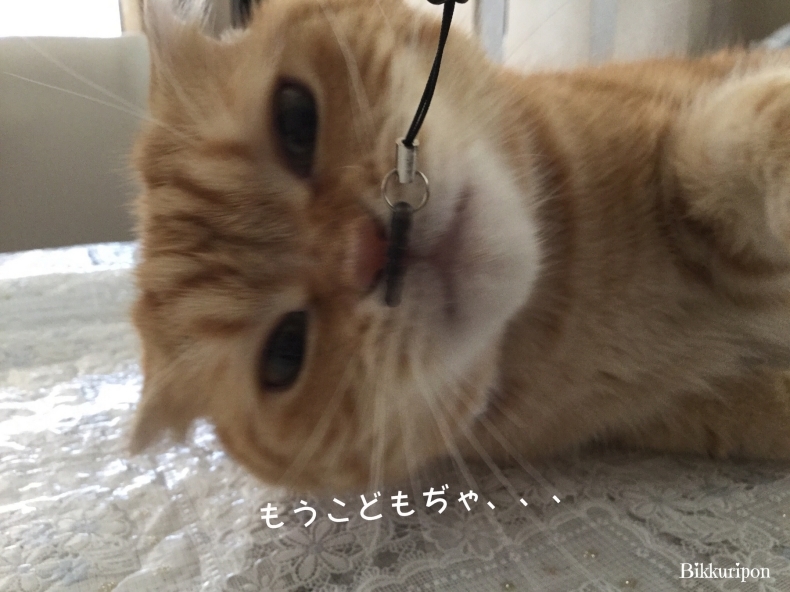 釣れました♪_d0344913_11055811.jpg