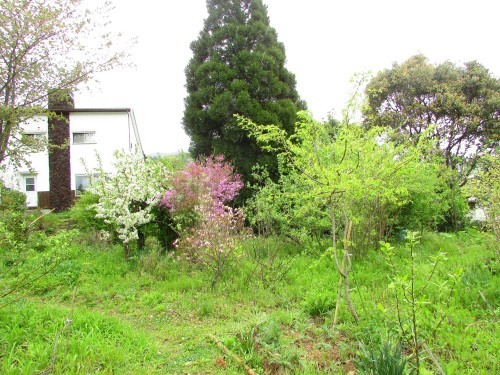 f0139520_09075840.jpg