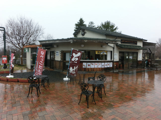 雨降りです_a0206621_08505924.jpg