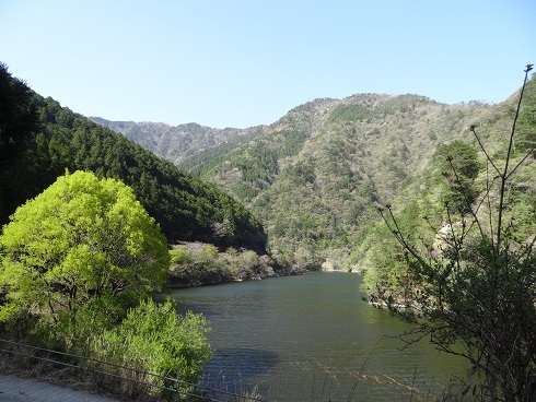 f0000521_07242187.jpg