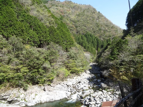 f0000521_07404338.jpg