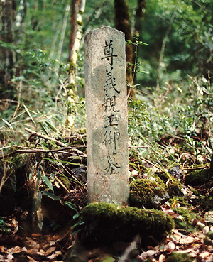 f0000521_08452336.jpg