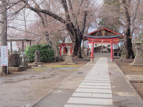 弘前天満宮の梅*2018.04.15_b0147224_2053667.jpg