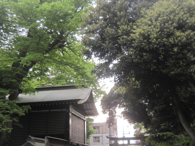 d0162225_23593470.jpg