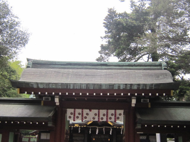 d0162225_23594850.jpg