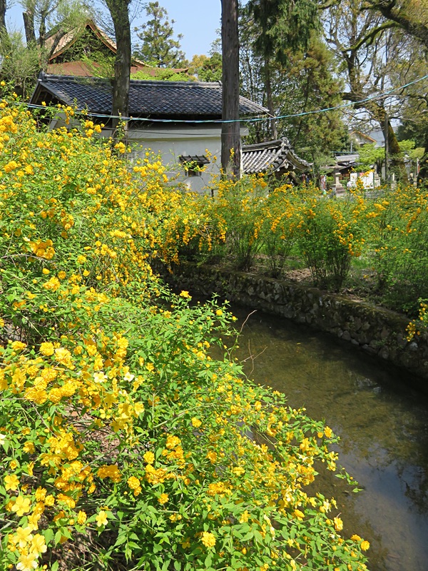 d0352628_14432852.jpg
