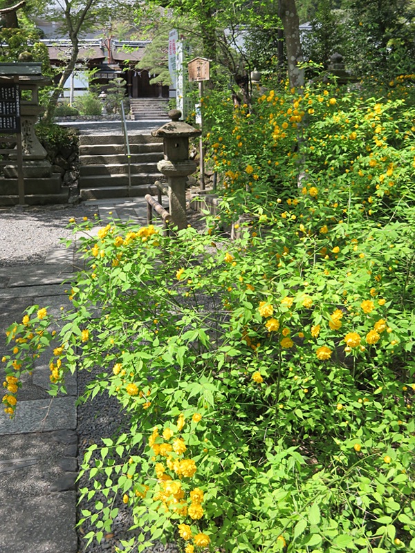 d0352628_14474920.jpg