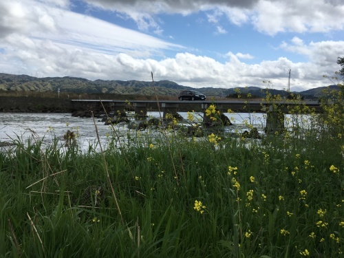 b0004229_15333699.jpeg