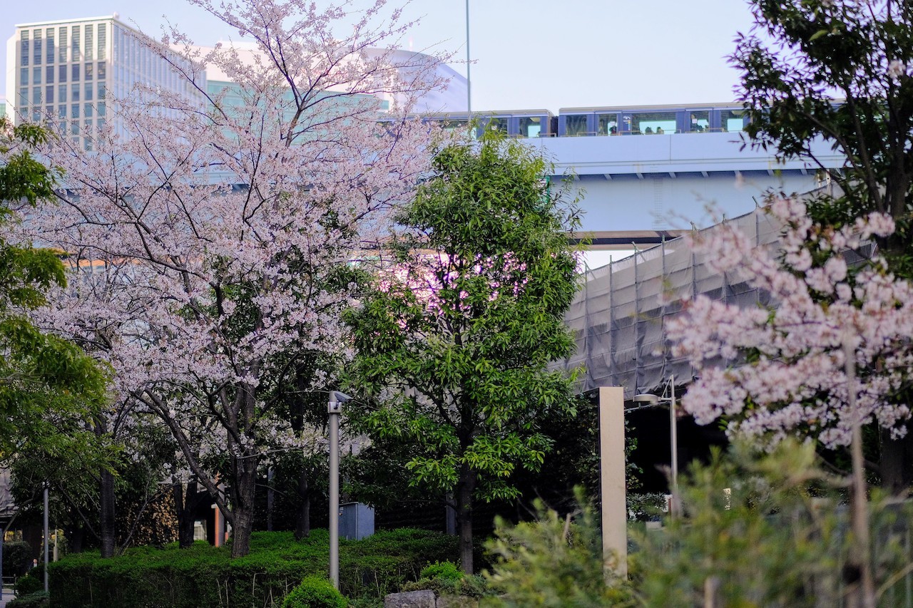 b0024832_11114954.jpg