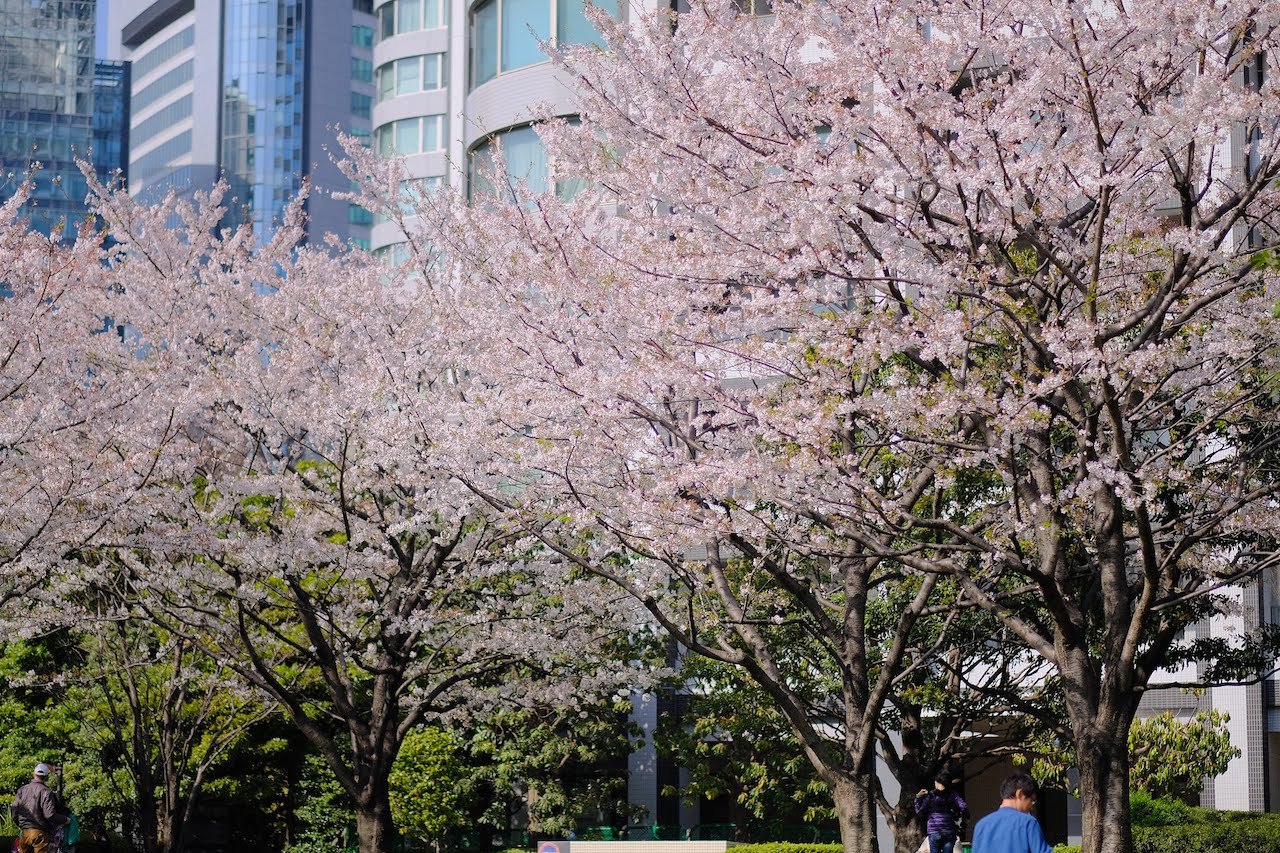 b0024832_11124957.jpg
