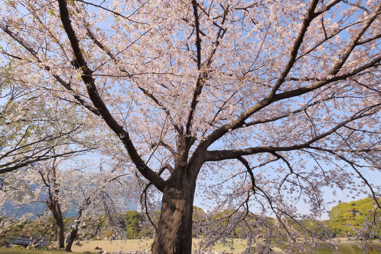 b0024832_11233641.jpg