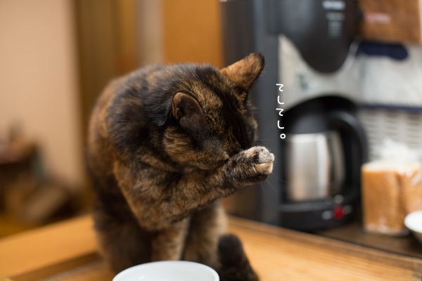 とろとろまぐろペースト20歳用、実食。_d0355333_17052446.jpg