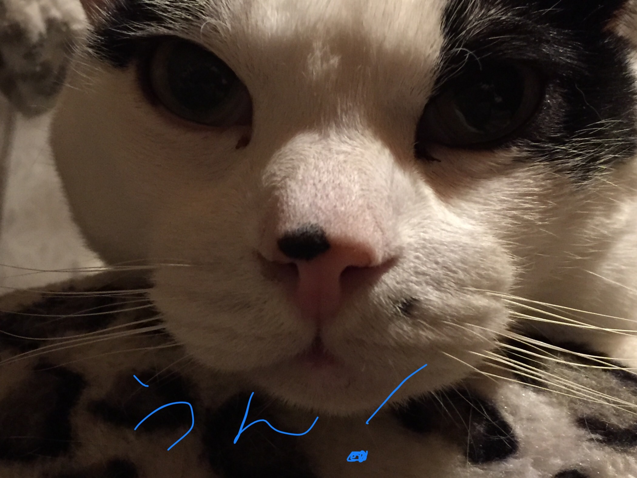 c0342535_19221838.jpeg