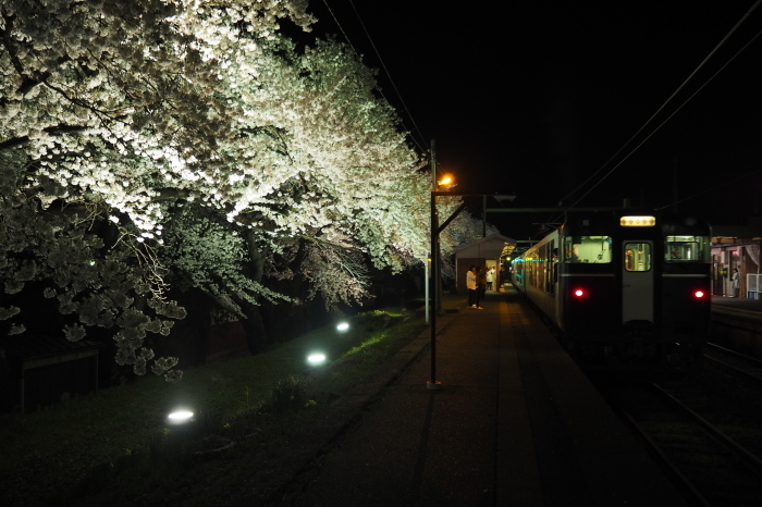 分水駅の桜_f0309136_21142718.jpg