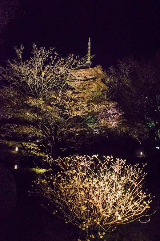 e0363038_20104018.jpg