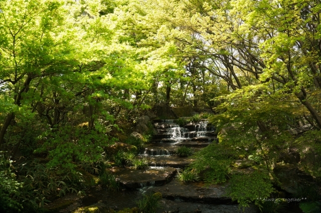 c0319240_22032306.jpg