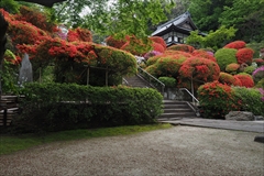 f0396143_2042416.jpg