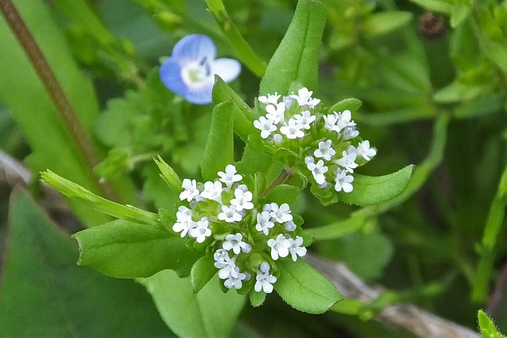 b0236251_11323265.jpg