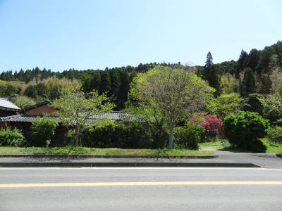 e0033751_17351725.jpg