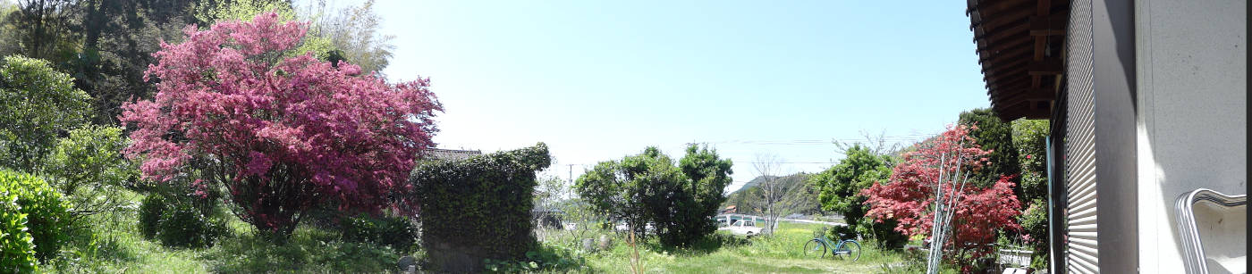 e0033751_17352099.jpg