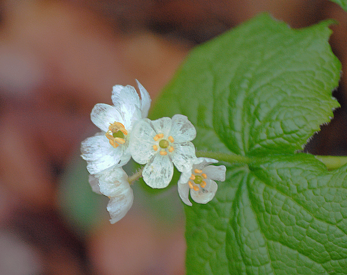 a0001354_23553100.gif