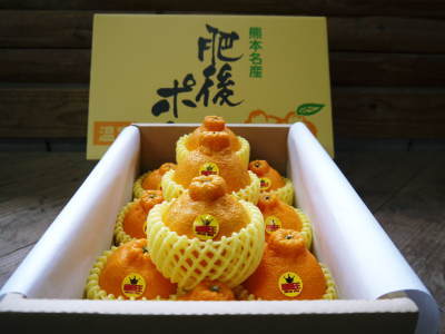 デコポン(肥後ポン)大好評販売中!次の収穫へ向けた花芽剪定作業2020(不知火編) _a0254656_16131522.jpg