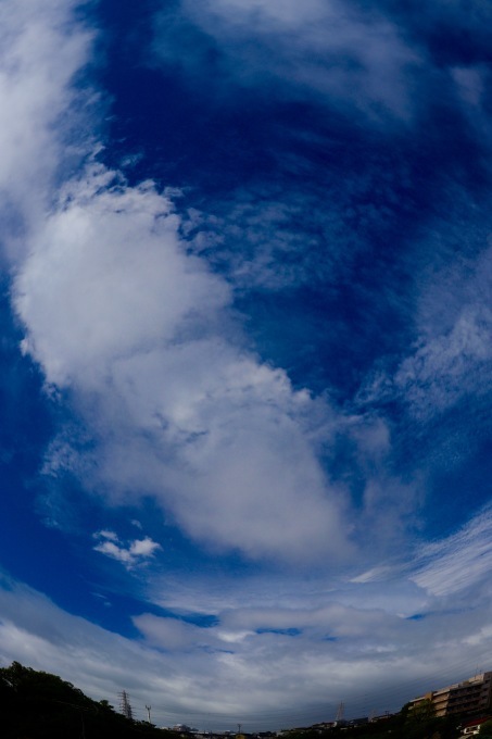 a0248459_12431271.jpg