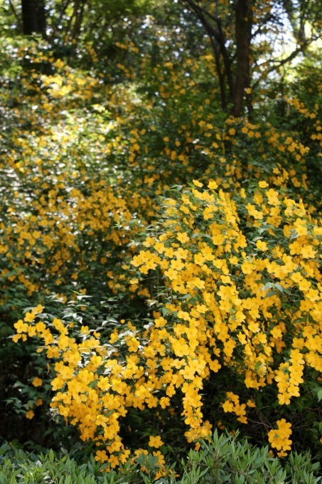 a0248459_12552218.jpg