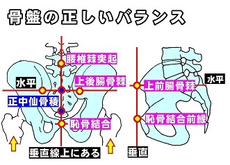 姿勢が悪いと感じている人は９割にも_b0165362_08092024.jpg