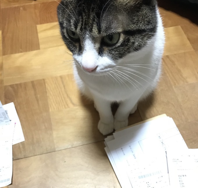 d0128864_14193789.jpeg