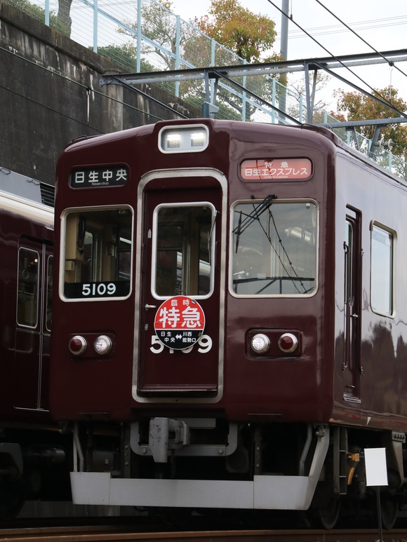 d0202264_8543846.jpg