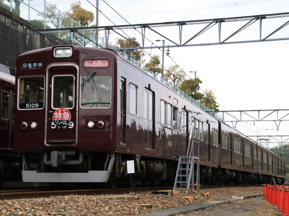 d0202264_855475.jpg
