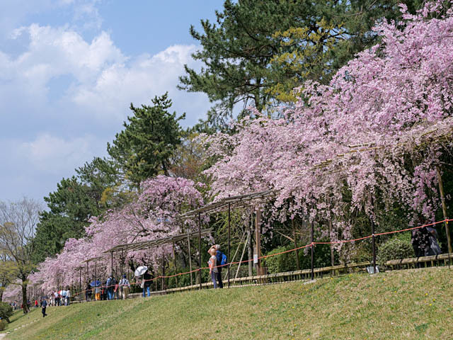 f0199866_20214487.jpg