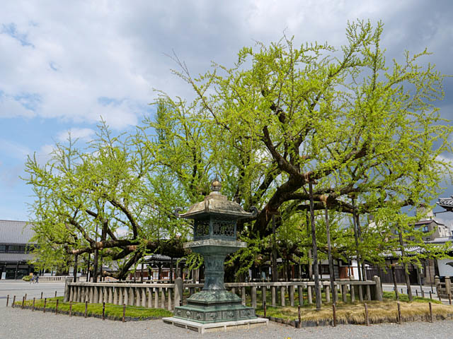 f0199866_20263876.jpg