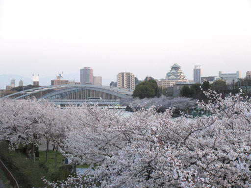 今年は沢山サクラを見たなぁ〜_c0150269_12111639.jpg