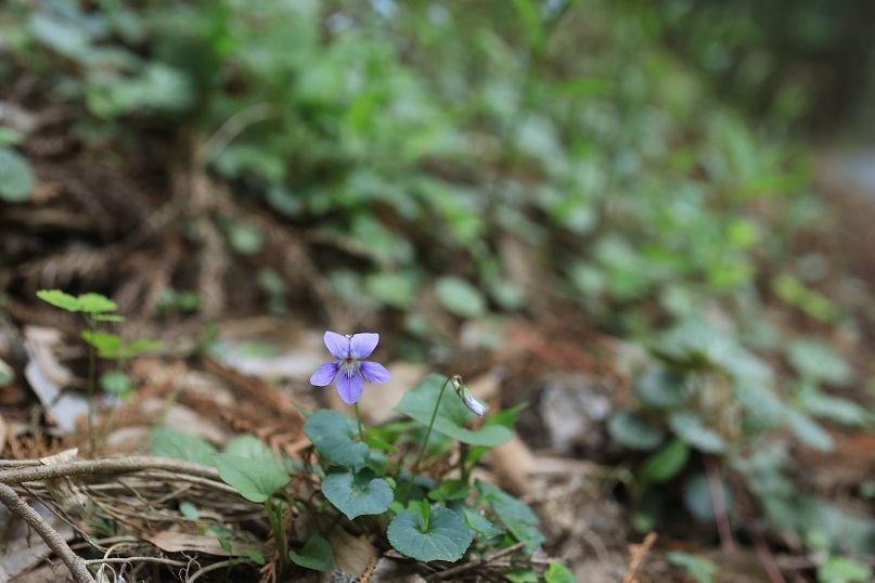 e0304170_20533804.jpg