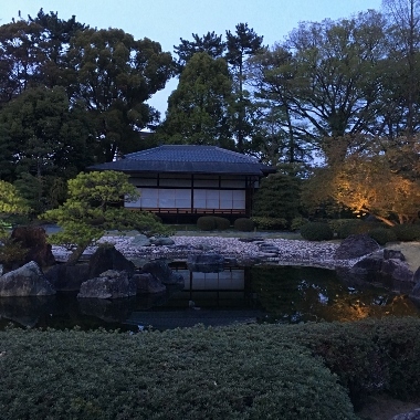 d0360171_22381106.jpg